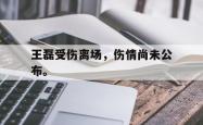 乐鱼真人体育娱乐-王磊受伤离场，伤情尚未公布。